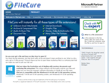 Tablet Screenshot of filecure.com